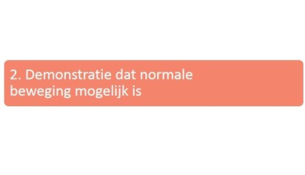 Afbeelding 3