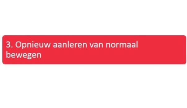 Afbeelding 4